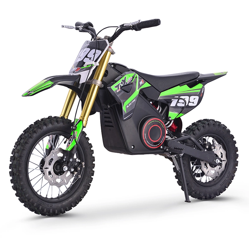 Electric Dirt Bikes Kids Toys 36V 1000W New Arrial