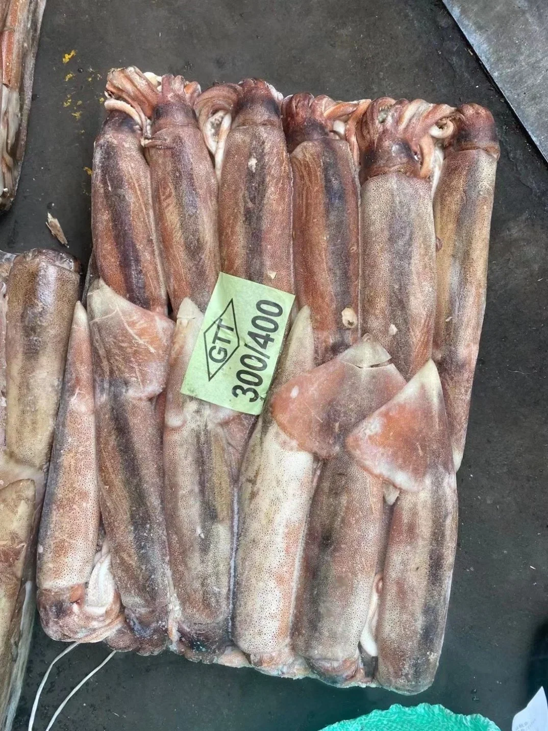 Frozen Seafood Chinese Illex Todarodes Squid