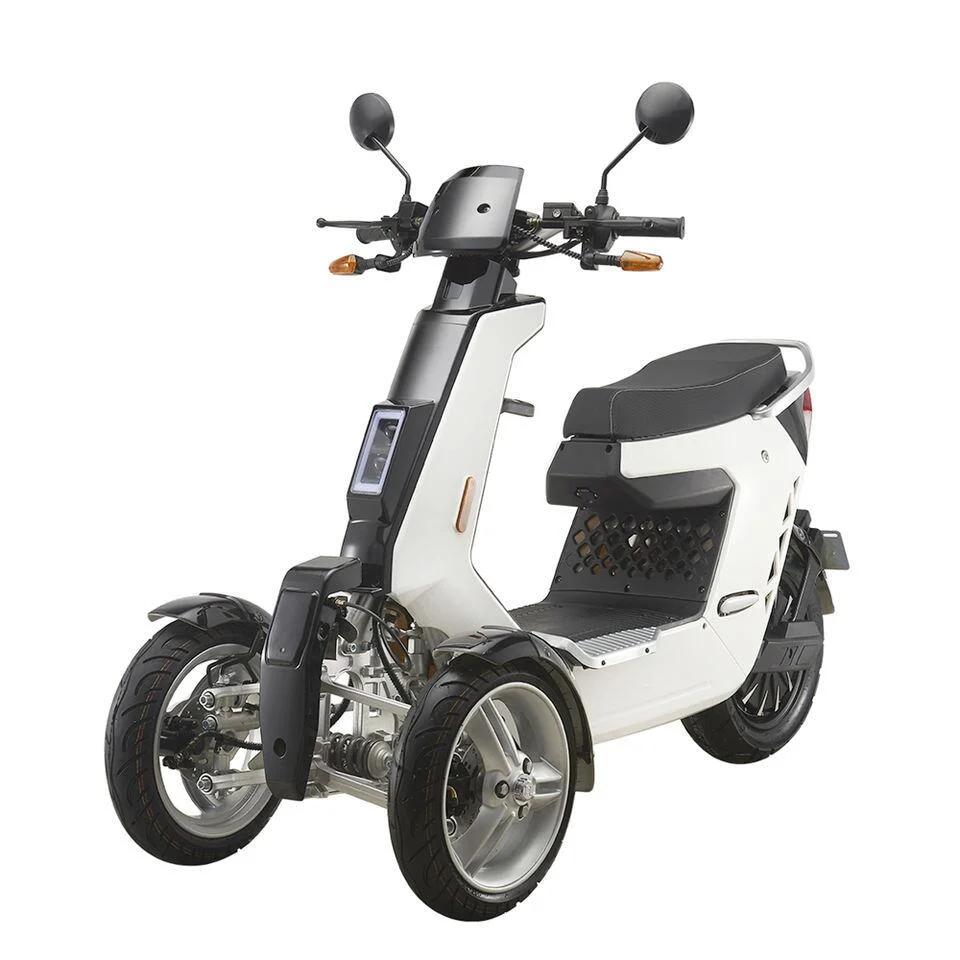 Heißer Verkauf billig EEC CE Coc 48V 500W 3 Wheeler Elektro-Dreirad Motorrad für Erwachsene