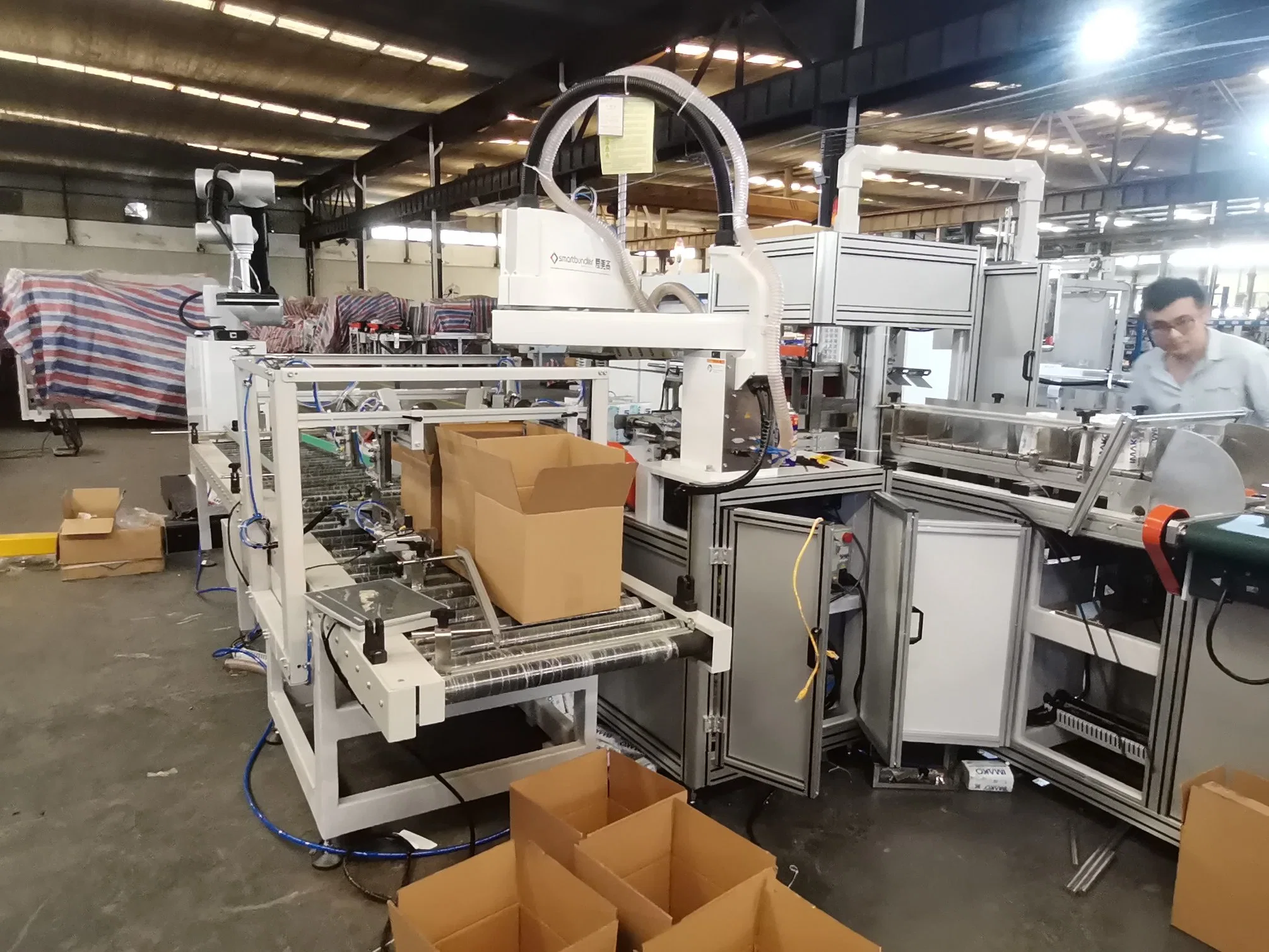 Case Packer Palletizer Machine Carton Box Packing Machine