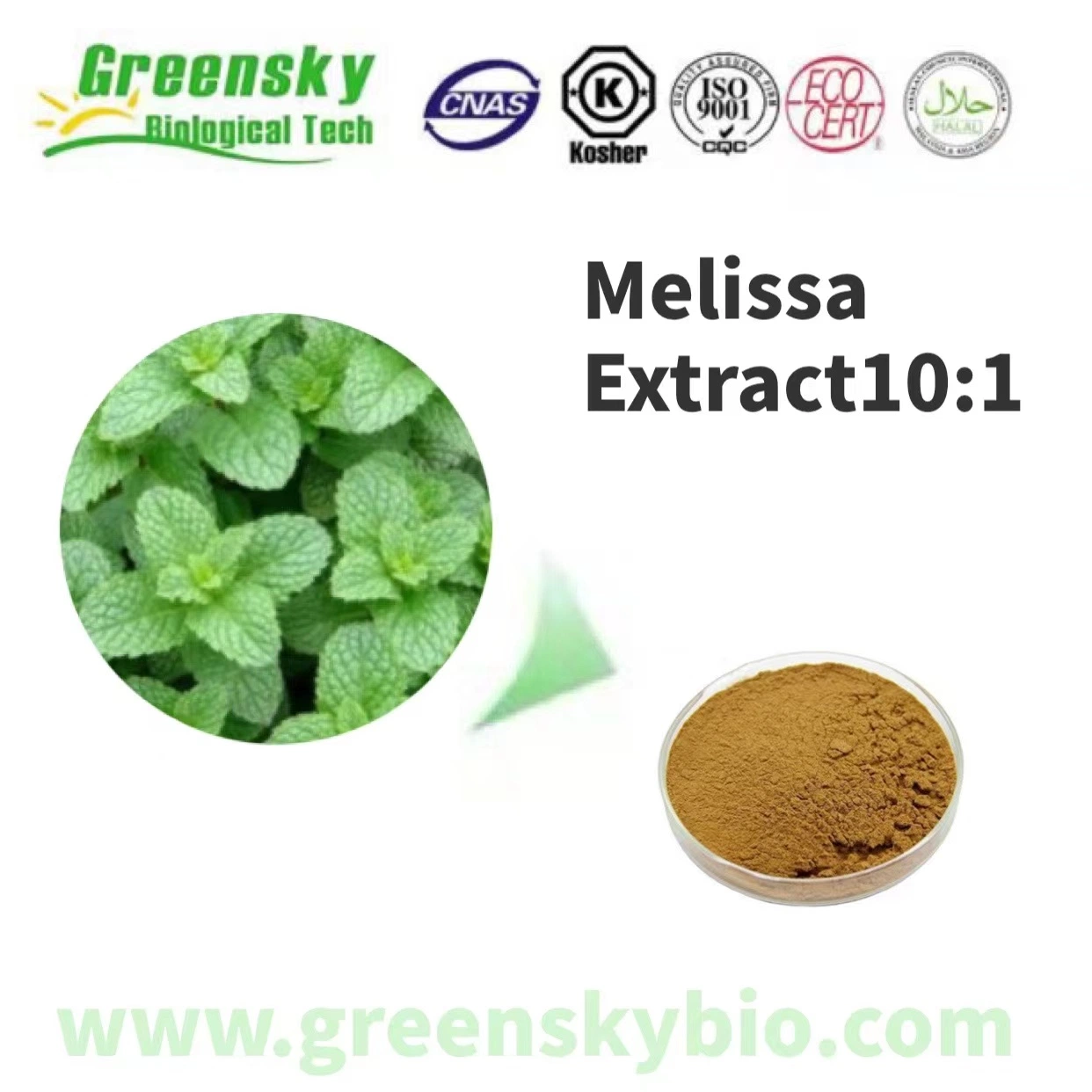 High quality/High cost performance Lemon Balm Extract for Woman Health to Clam Down Your Pet Melissa Extract 10: 1 Antioxidant Best Price