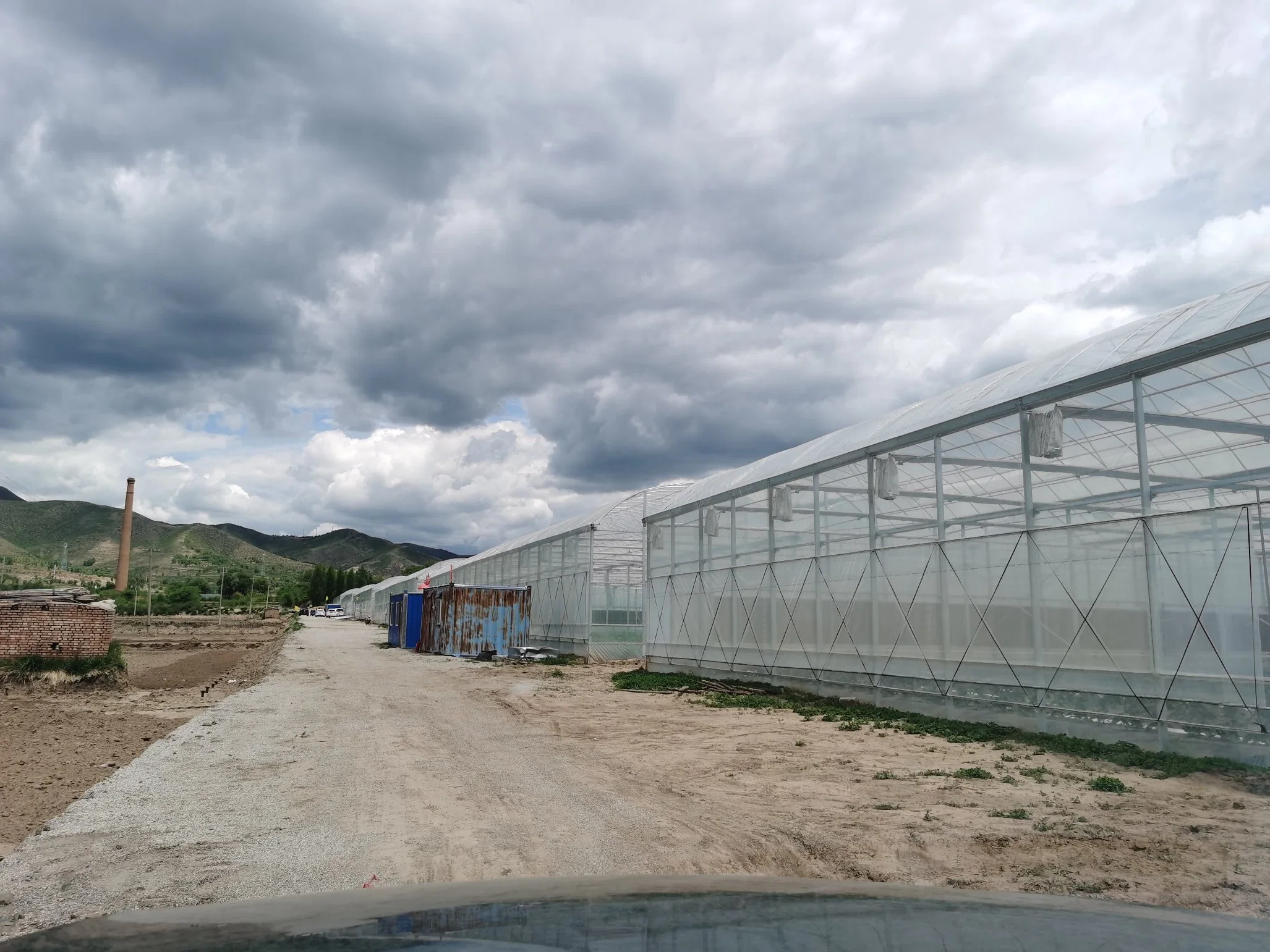 Многопролетная прочная ветроустойчивость Тип Plastic Tunnel Greenhouse