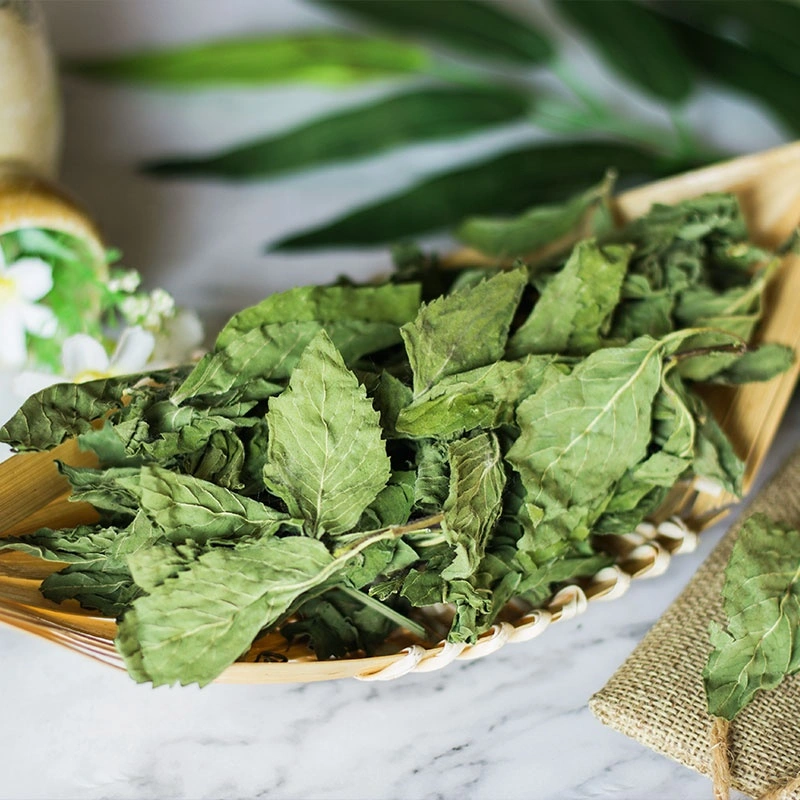 Wholesale/Supplier High quality/High cost performance  Dried Herbs and Spices Mint Leaves Tea Peppermint Bo He