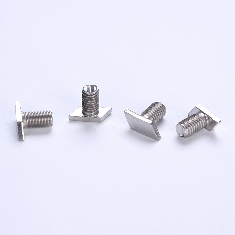 Manufacture Non-Standard T Bolt Square Head Bolt A2/A4 Stainless Steel