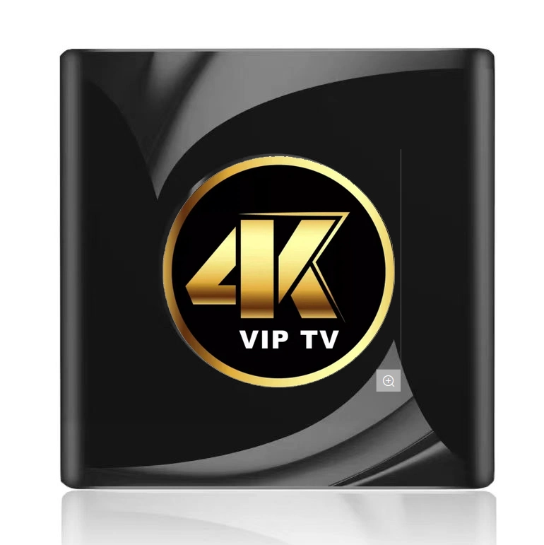 Subs IPTV 4K 1 3 6 12 mois gratuits Le test prend en charge le code M3U /Xtream