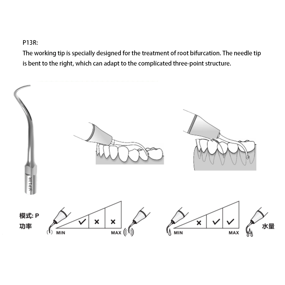 Root Furcations Treatment Scaler Tips P13r Ultrasonic Surgical Instruments Perio Scaling Tip