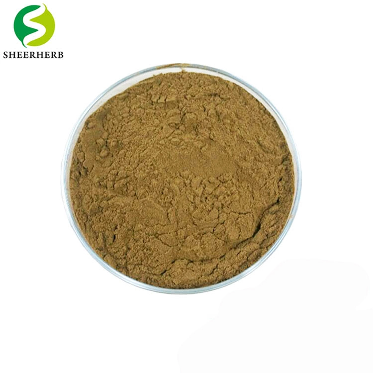 Sheerherb Hot Selling 100% Natural 100: 1 200: 1 Tongkat Ali Root Extract Powder