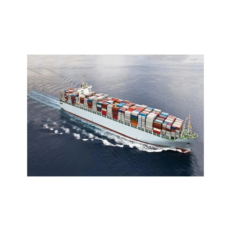 Professional Sea Freight Shipping Agent From China to Canada