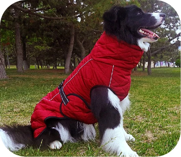 Wholesale Luxury Clothes Cotton Waterproof Winter Pet Parkas Dog Jackets