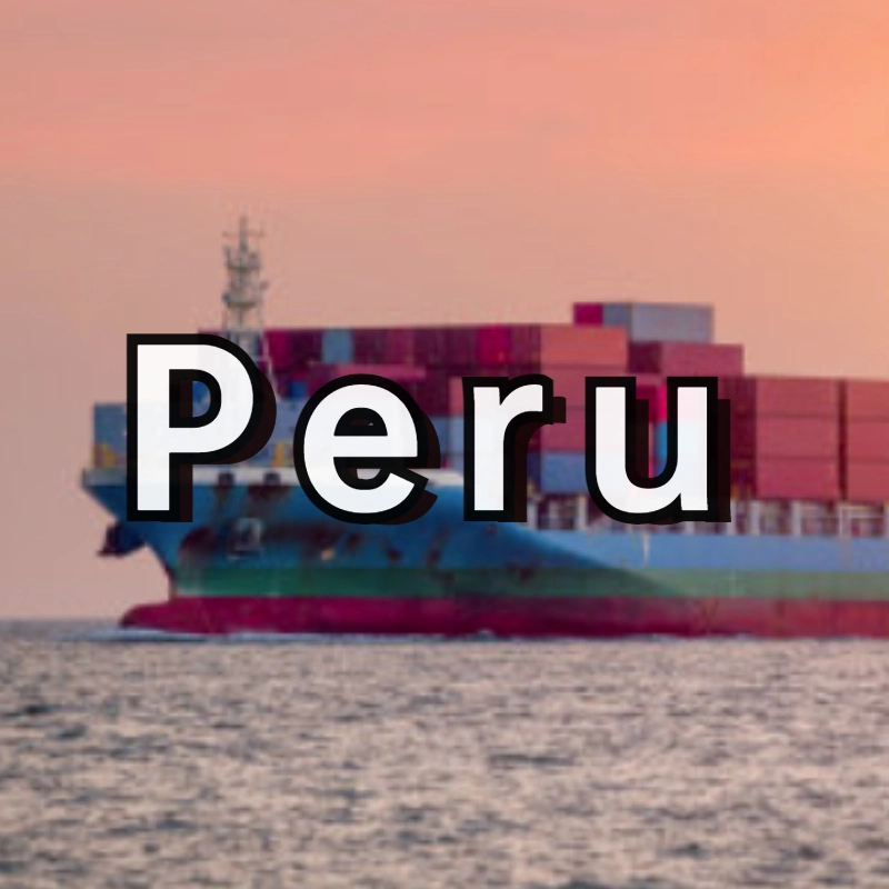 Rapide et sûre au transport maritime de Guangzhou au Pérou