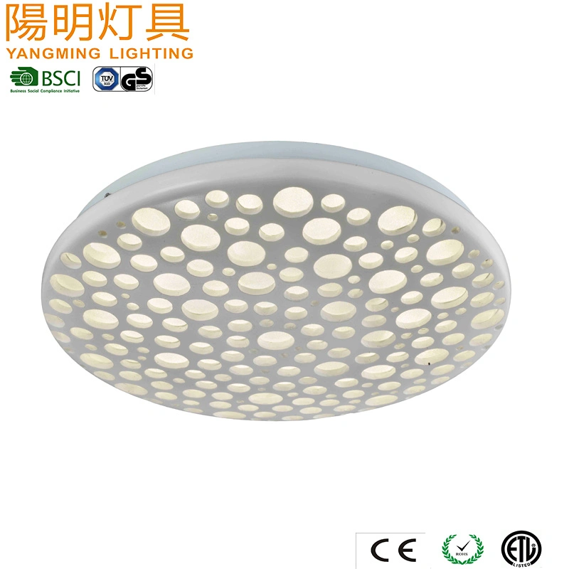 LED Ceiling Mounted Light Round Shape Wall Light Fixture for Wholesale