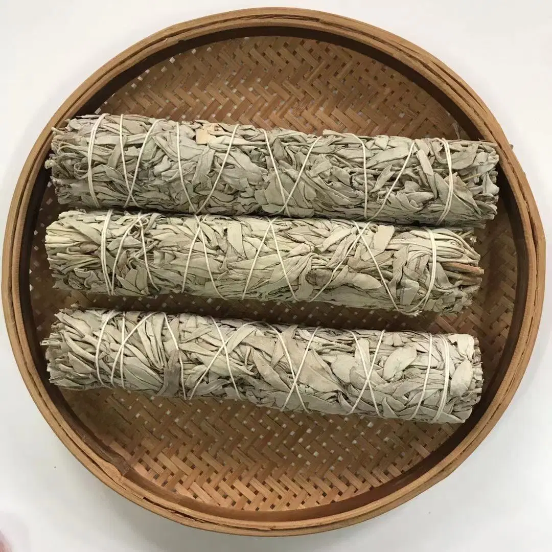 Wholesale/Supplier Organic Dried Leaves White Sage Smudge Stick for Incense