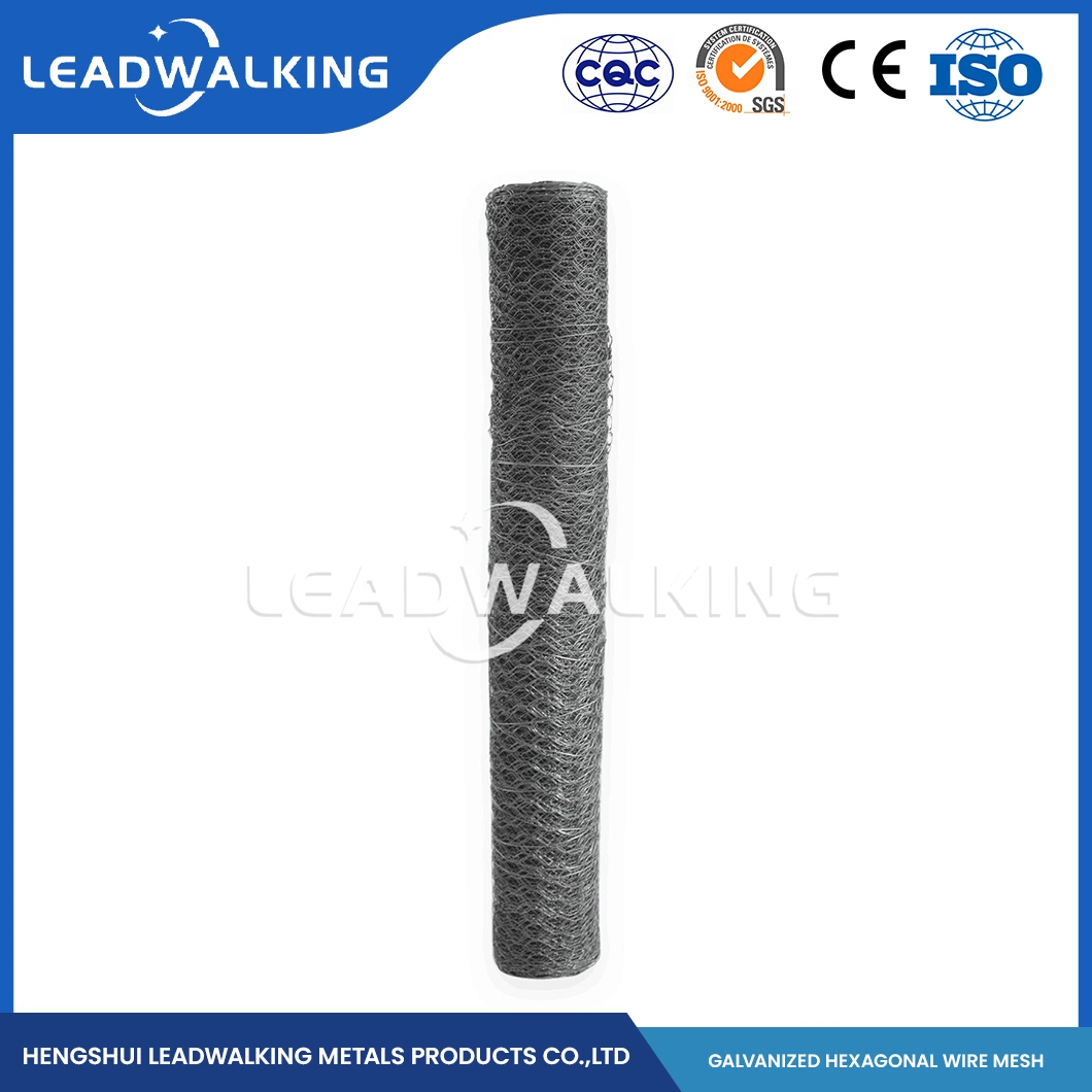 Leadwalking China Metal Woven Wire Mesh Factory PVC Wire Material 1/2 Inch Mesh DIP Hexagonal Net