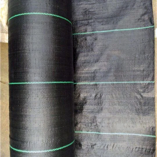 Black PP Woven Geotextile Used in Agriculture