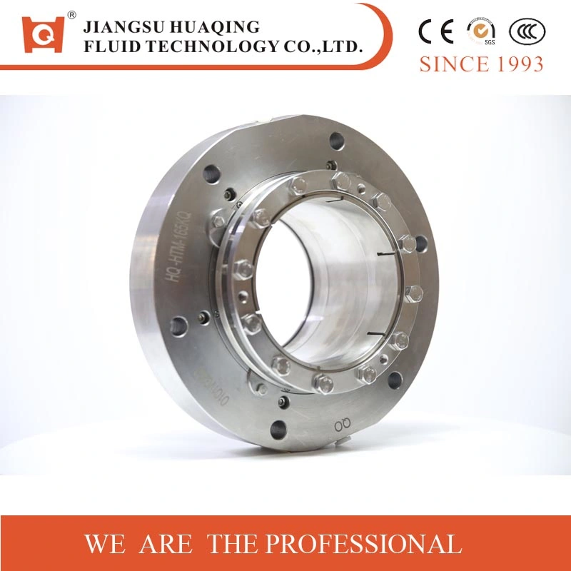 Multi-Spring Slurry Mechanical Seal (HT1)