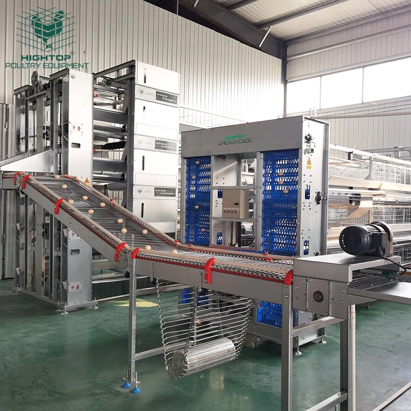 Fully Automatic Layer Poultry Equipment Battery Cage System