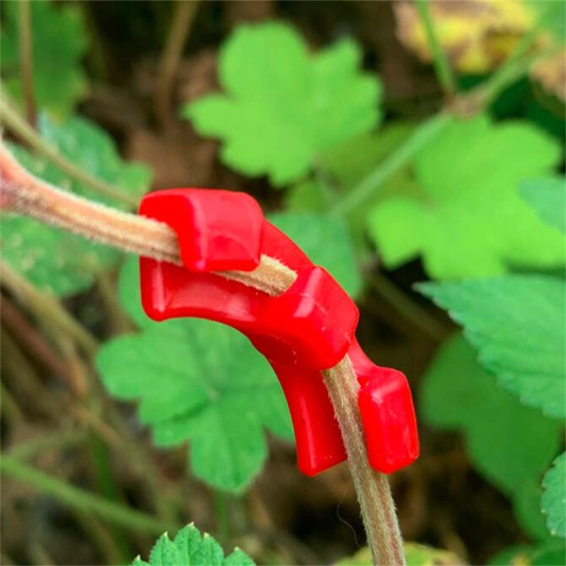 Supply Tomato Half Moon Clip Guide Clip Fruit Stem Ear Fixed Clip