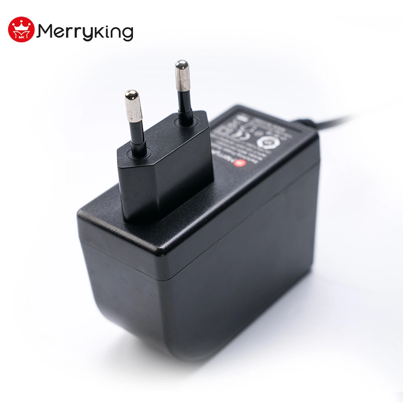 2019 New 220V AC 12V DC Power Supply 12V 2A AC DC Power Strip Adapter for Beauty and Health Equipment