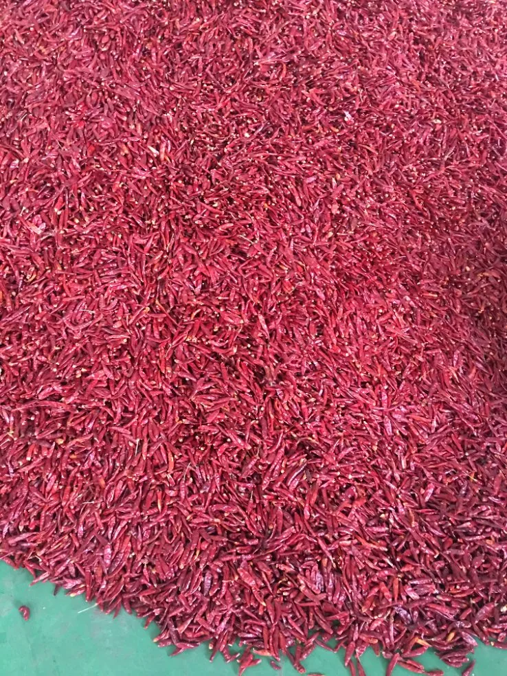 High quality/High cost performance  Factory Supply Red Dry Chilli