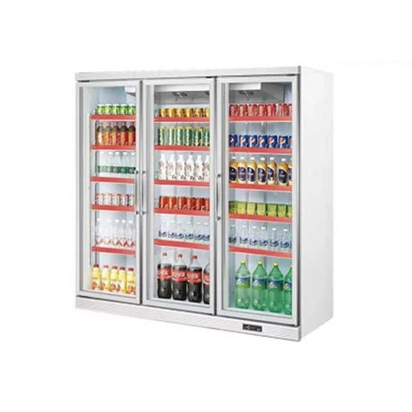 Commercial Glass Door Vertical Ice-Cream Freezer