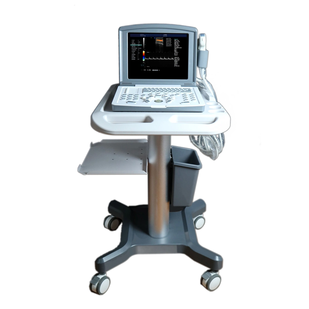 Icen Hot Sell Portable Laptop 2D Digital Veterinary Color Ultrasound Scanner