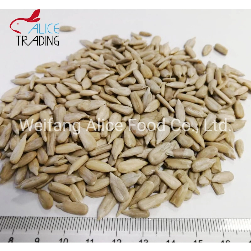 China Seeds Supplier Sunflower Seeds Kernels Bulk Quality Sunflower Seeds Kernels
