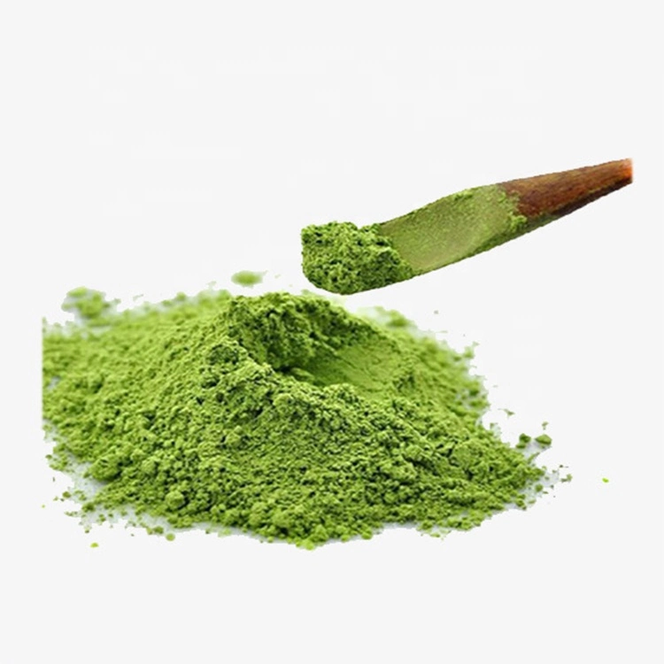 Amostra grátis fornecimento fábrica Top qualidade orgânico Green Matcha Tea Pó