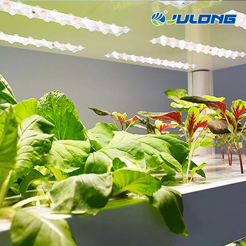 Indoor Intelligent Soilless Cultivator Planting Machine Hydroponics System for Greenhouse Vegetable