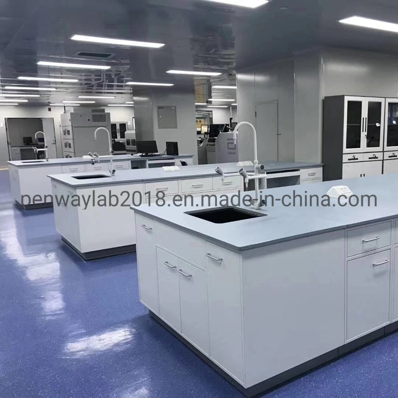 Full Steel Painted Anti-Corrosion School Laboratory Equipment