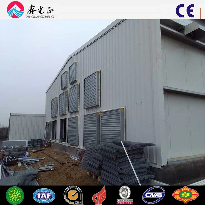 High Production Efficiency Steel Structure Poultry House for 10000 Chickens