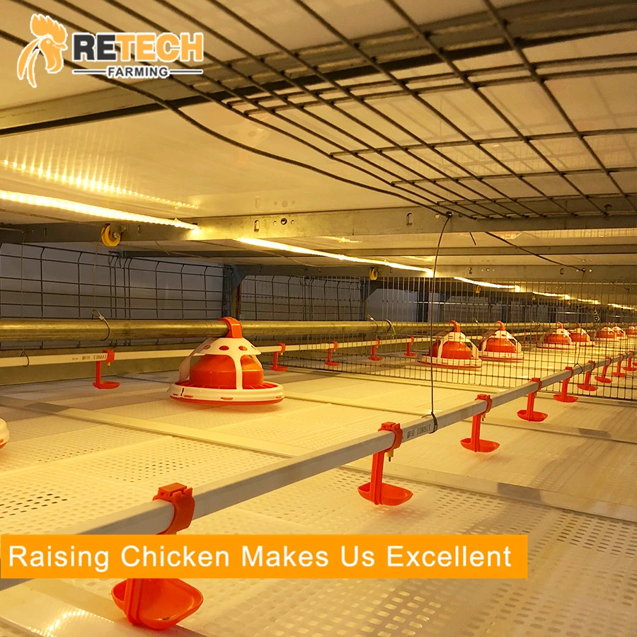 Automatic Poultry Farm Broiler Feeding System Broiler Chicken Raising Equipment