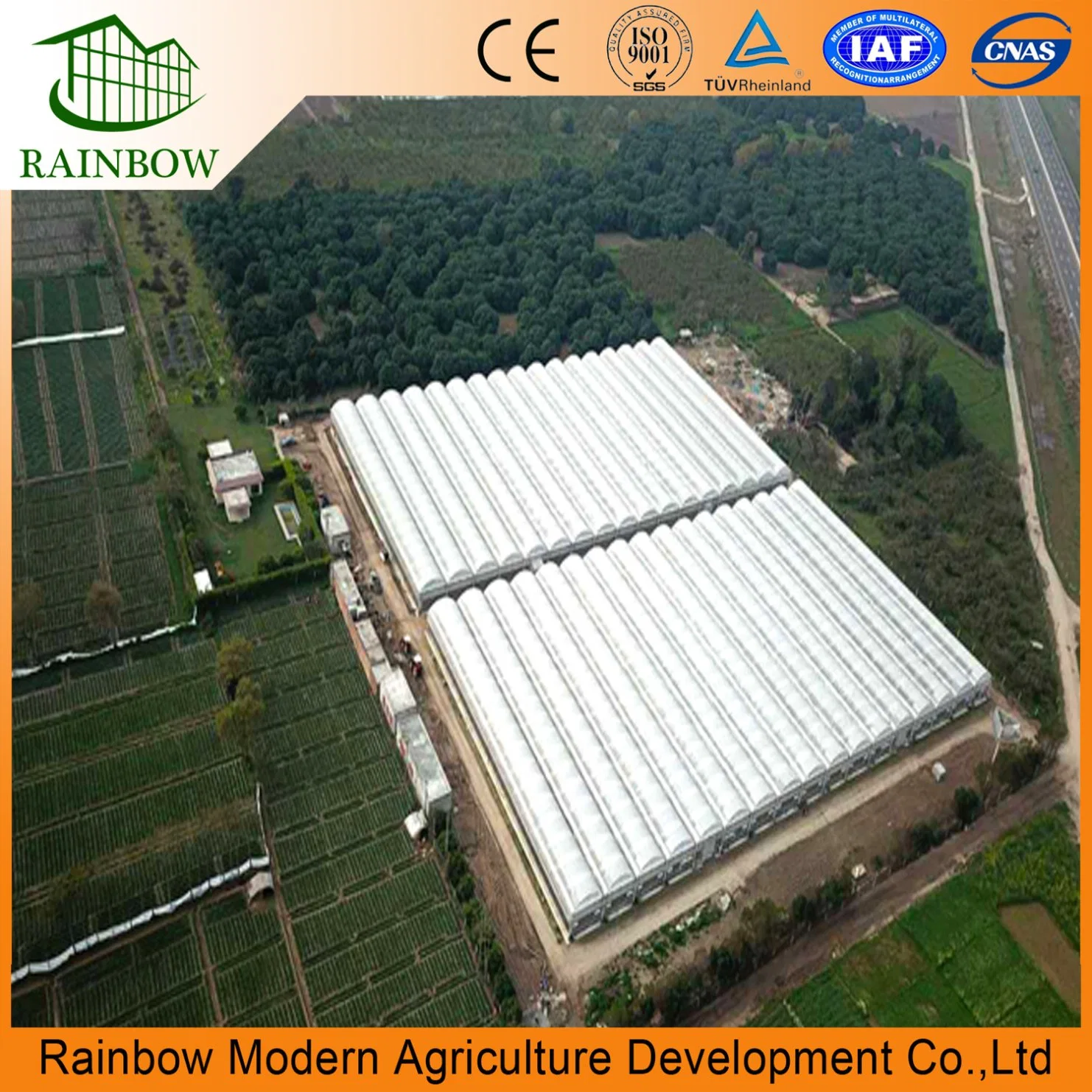Multi-Span Poly Tunnel Film Greenhouse with Cooling System