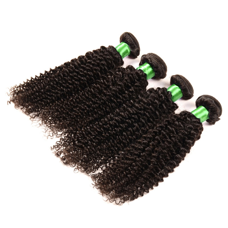 Grade 9A Brazilian Curly Virgin Hair Kinky Curly Virgin Hair 3PCS/ Lot Unprocessed Remy Human Hair Weave Afro Kinky Curly Hair