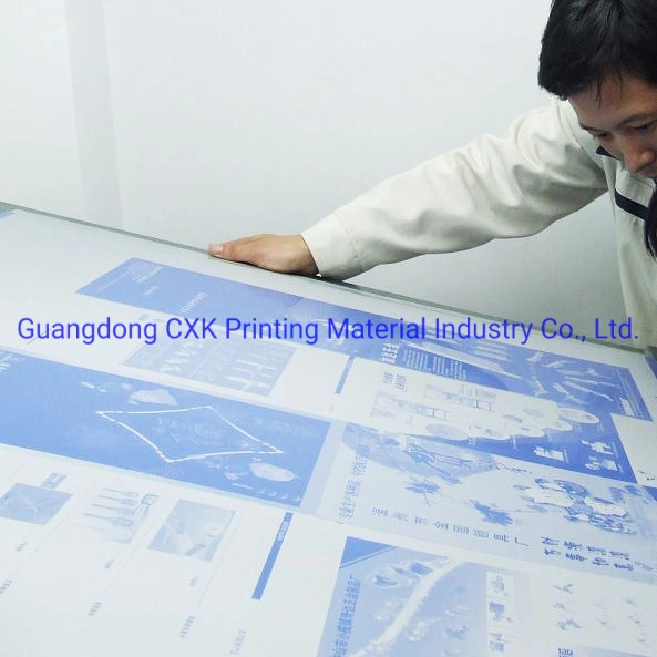 China Offset Printing Ctcp Plate