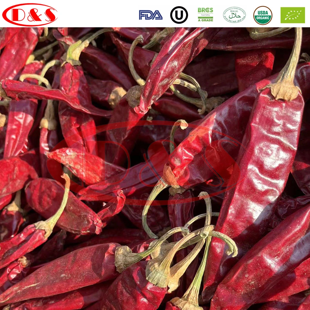 Distribuidor de especias Chile seco Red dulce Paprika polvo