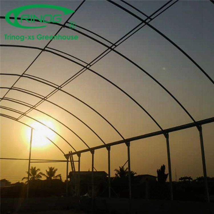 New Design Commercial High Tech Multi-Span Film Green House for Cultivation