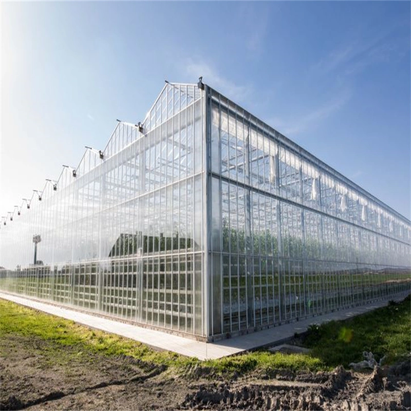 Neue Design-Gebäude Multi-Span Gewächshäuser Rahmen Sonnenraum Stahl Green House