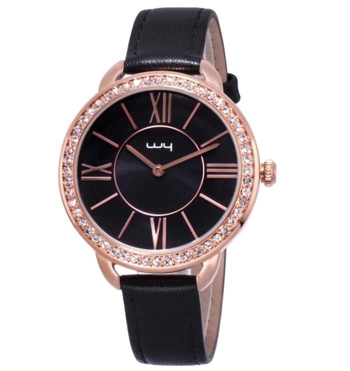 Fashion Ladies CZ Stone Jewelry Alloy Case Leather Watch (WY-147)