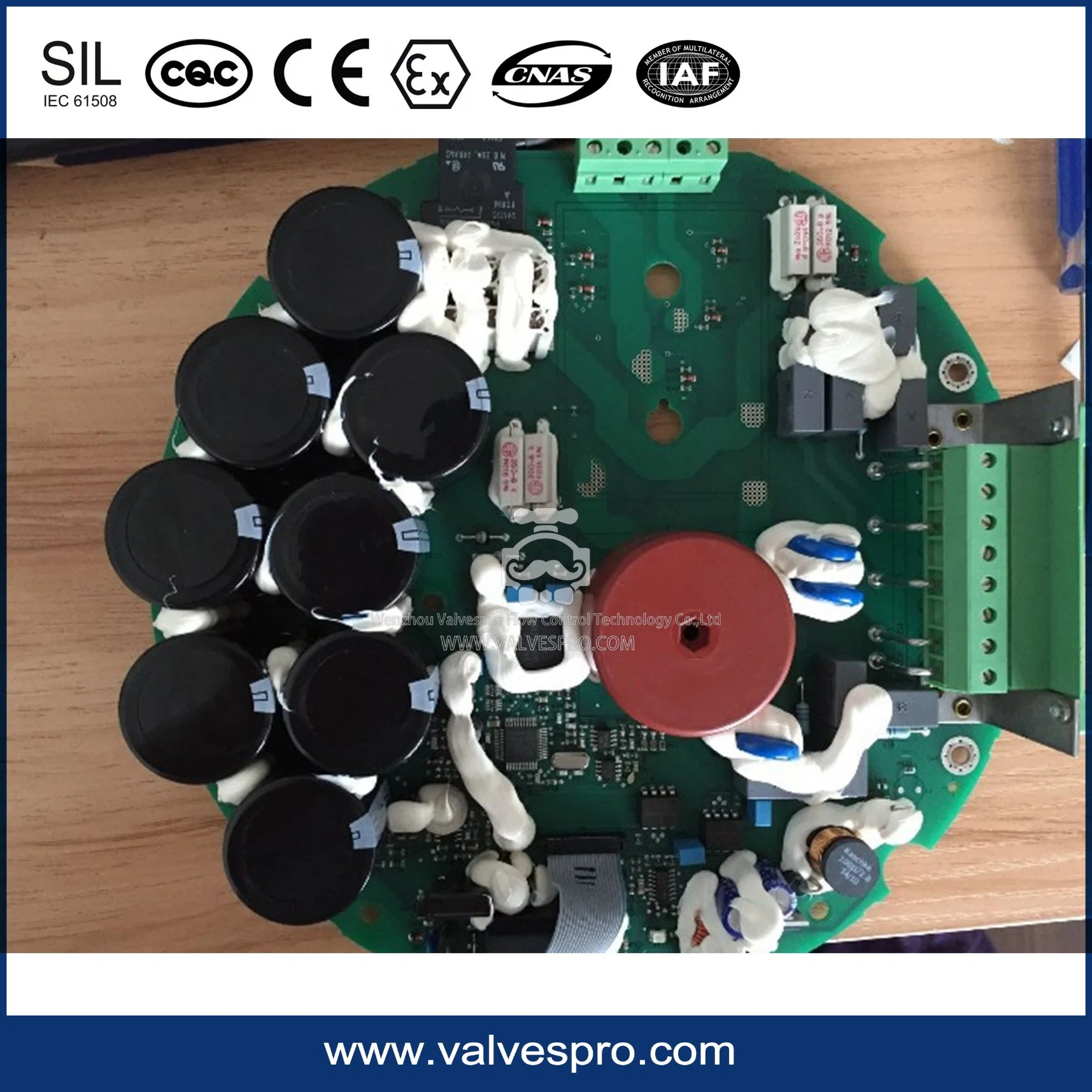 Sipos Electric Actuator Control Panel /Power Panel /Display Screen etc.