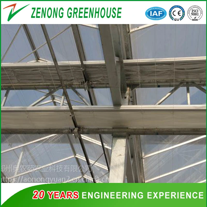 Greenhouse Inside Shading System for Cooling Down