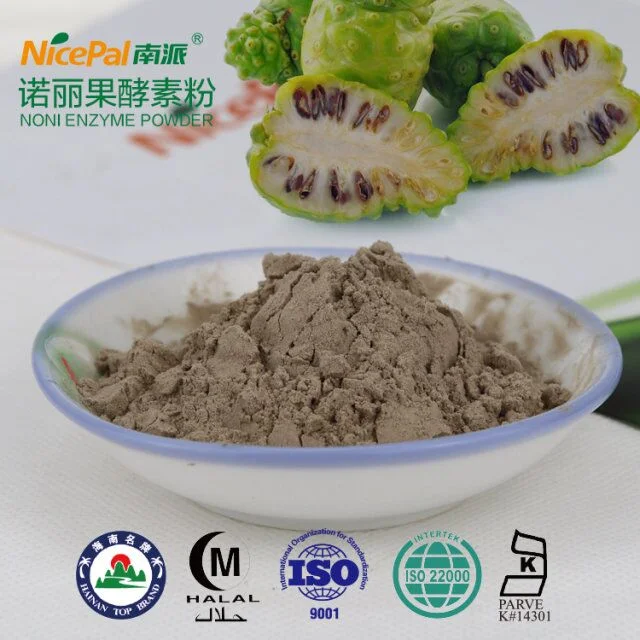 100% Natural Noni Fruit Enzyme Powder for Concentrated Fruit Juice Powder