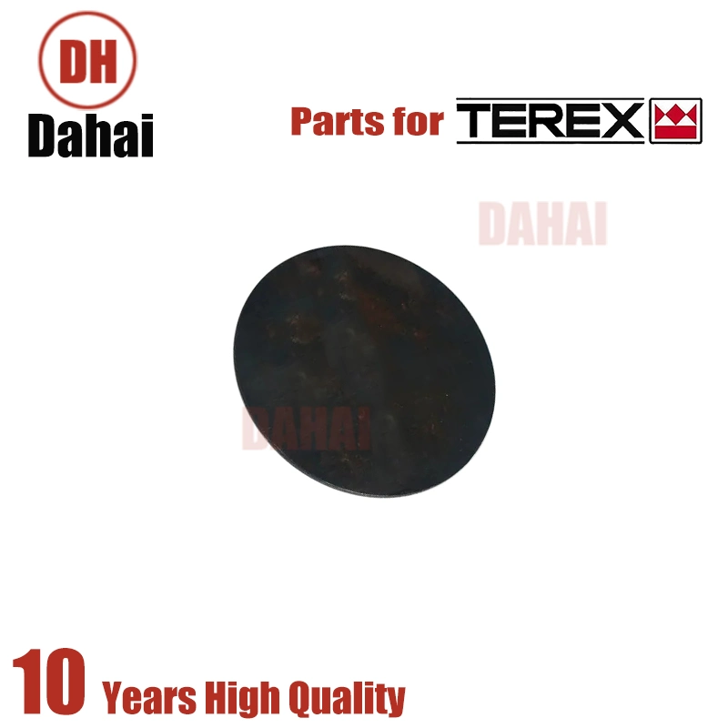 Dahai Japan Terex Truck Accessories Disc 15229654 for Terex Tr100 Parts