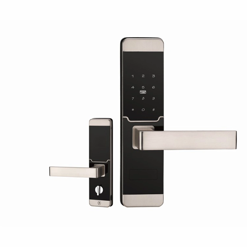 Combination Magnetic Safe Card Digital Door Hardware Smart Lock Handle