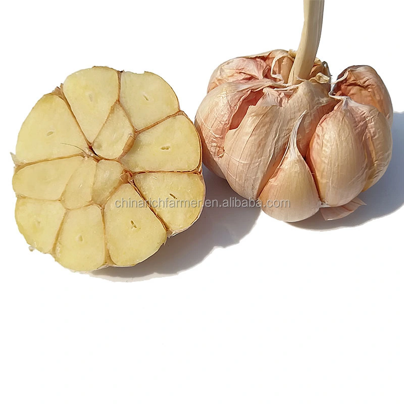 Cheapest China Fresh 3p Pure Normal White Dried Garlic