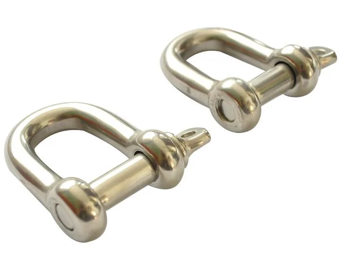 Standard Commercial EU Type Stainless Steel D Shackle with Factory Direct Sale