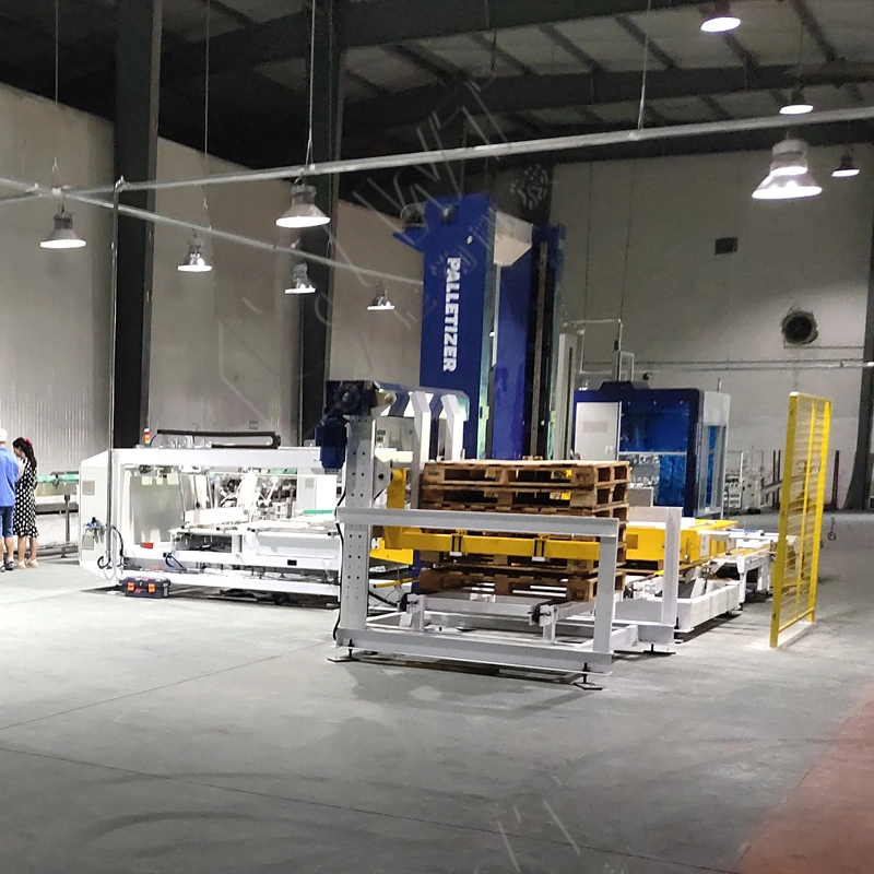 Gantry Palletizer Machine for Membrane Bag in Carton