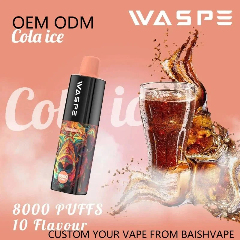 Waspe 8000 Puff Zbood Private label USB C Freemax Charge Type C Infy Wonder G10 Atomizer Disposable/Chargeable Vape