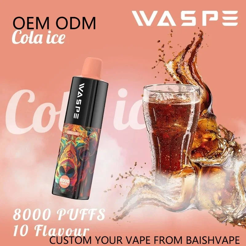 Waspe 8000 Puff Zbood etiqueta privada USB C Freemax Charge Tipo C Infy Wonder G10 Atomizer desechable VAPE