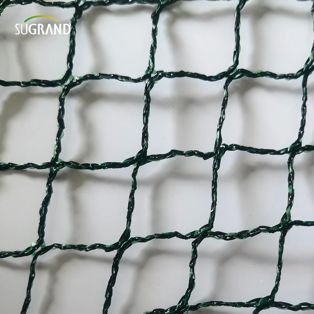 Best Sale of HDPE New Virgin Bird Capture Nets