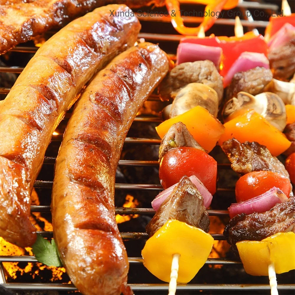 Xunda Fogão de Mesa com Churrasqueira a Gás Forno de Mesa Fogão Portátil a Gás para Churrasco em Casa